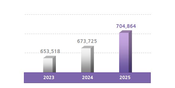Total shareholder's Equity