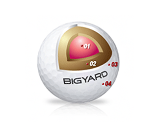 BIGYARD DT300